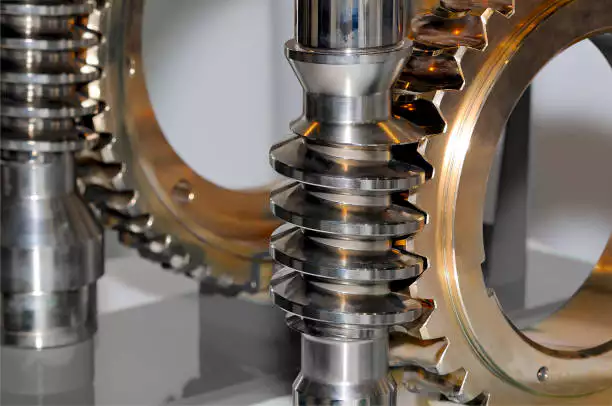 Double Enveloping Worm Gear