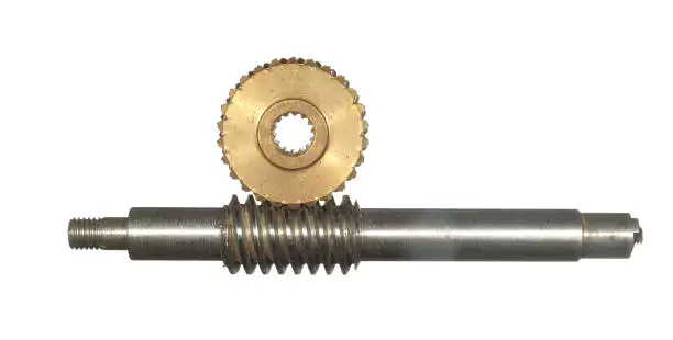 Duplex Worm Gear and Shaft