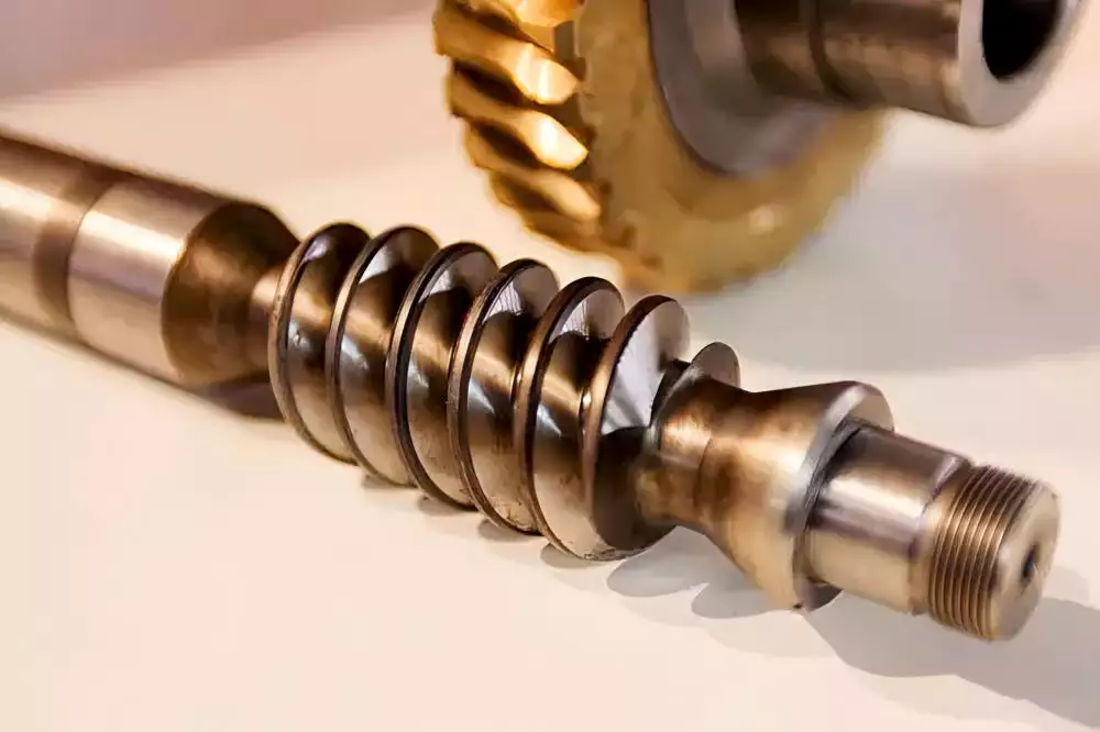 Worm Gear and Shaft