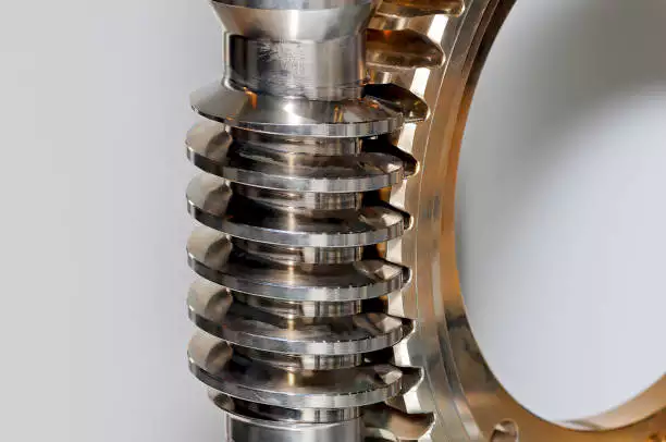 Double Enveloping Worm Gear Assembly