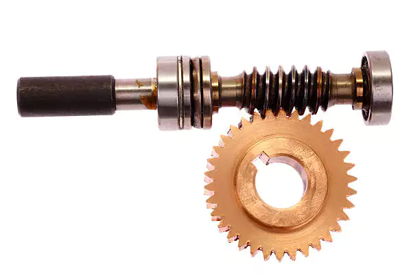 Cylindrical Worm Wheel and Worm Shaft
